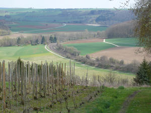 Blick ins Jagsttal